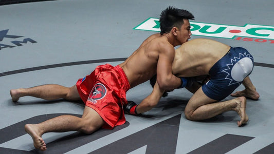 Grappling for MMA: Techniques, Tips, and Strategies