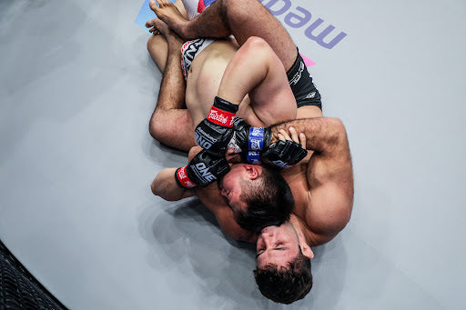 Understanding and Mastering MMA Grappling